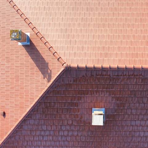 UP